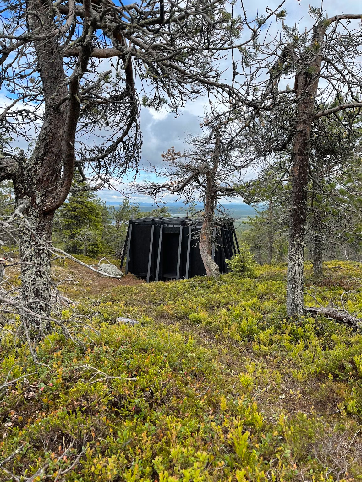 Solstice Festival 2022 > Installation