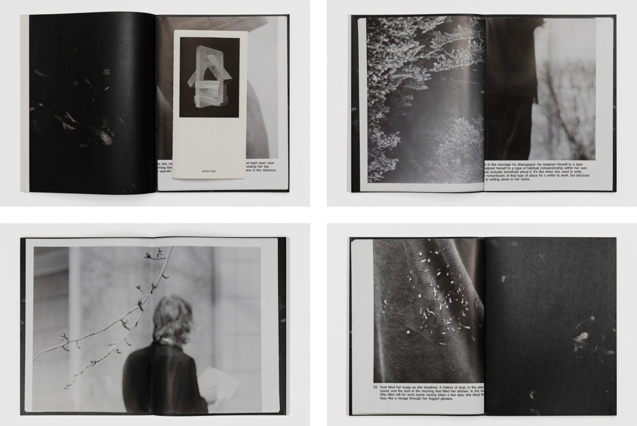 1017-ALYX-9SM, Campaign/Book Project