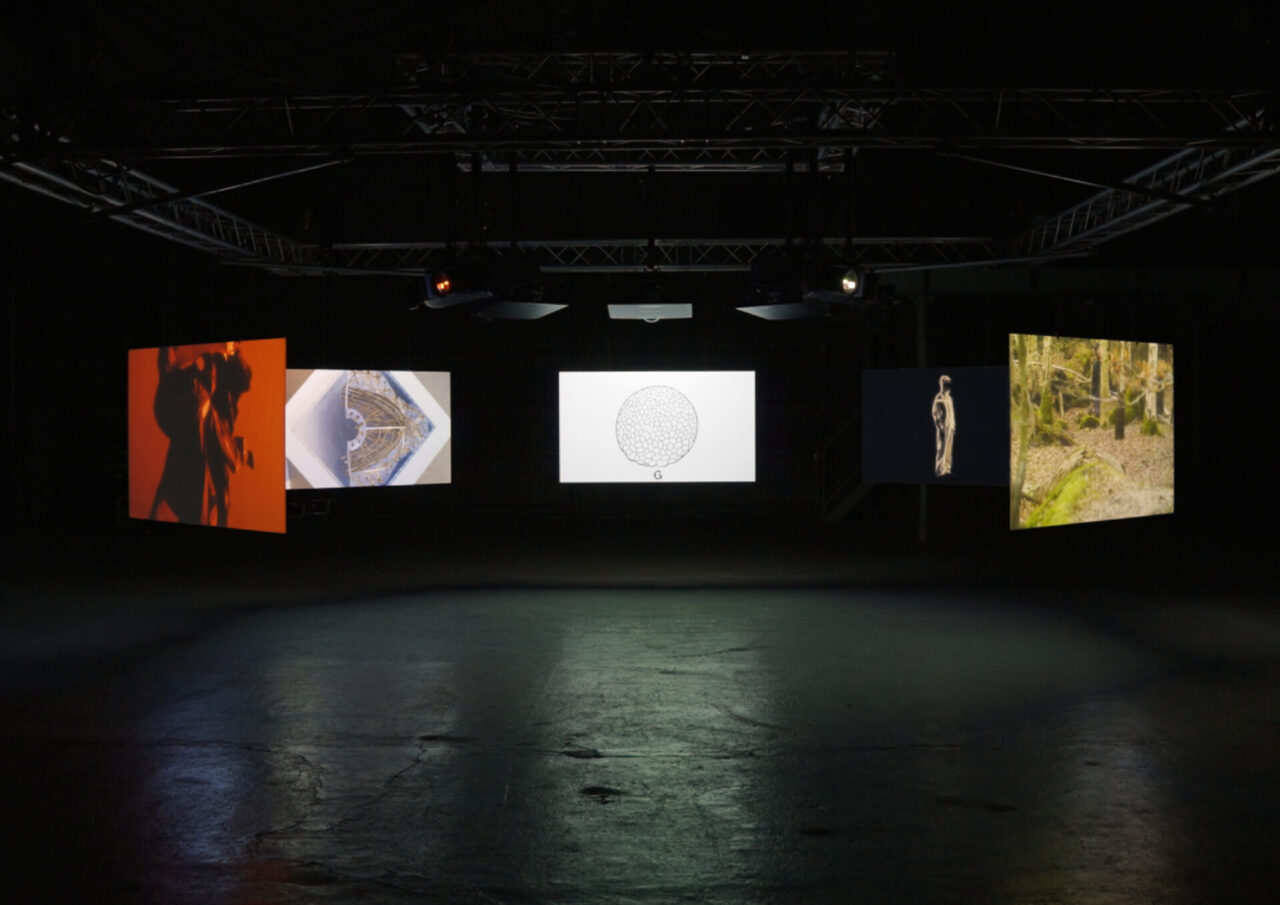 Goldwin 0, Enquiry #1 with Daniel Shea