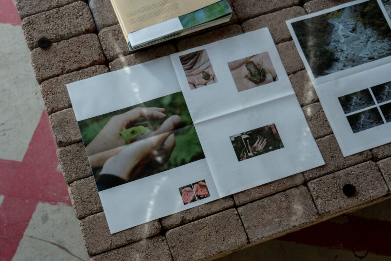 Goldwin 0, Enquiry #4