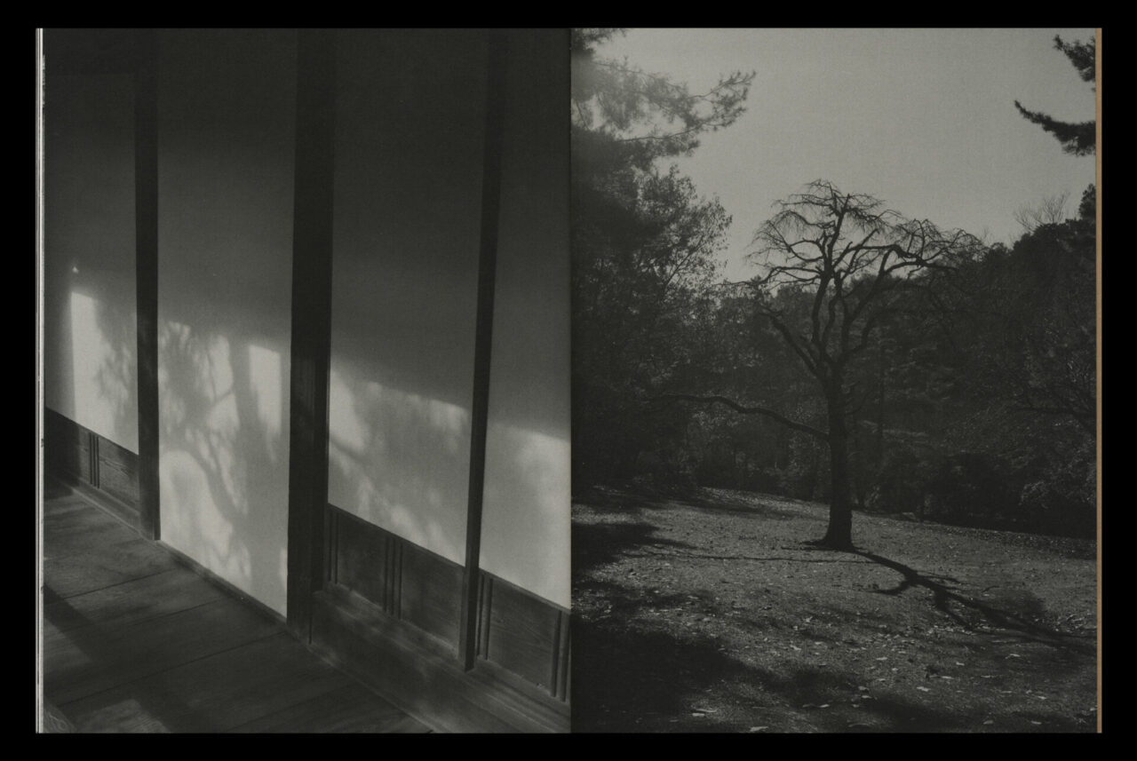 Taiga Takahashi, Campaign