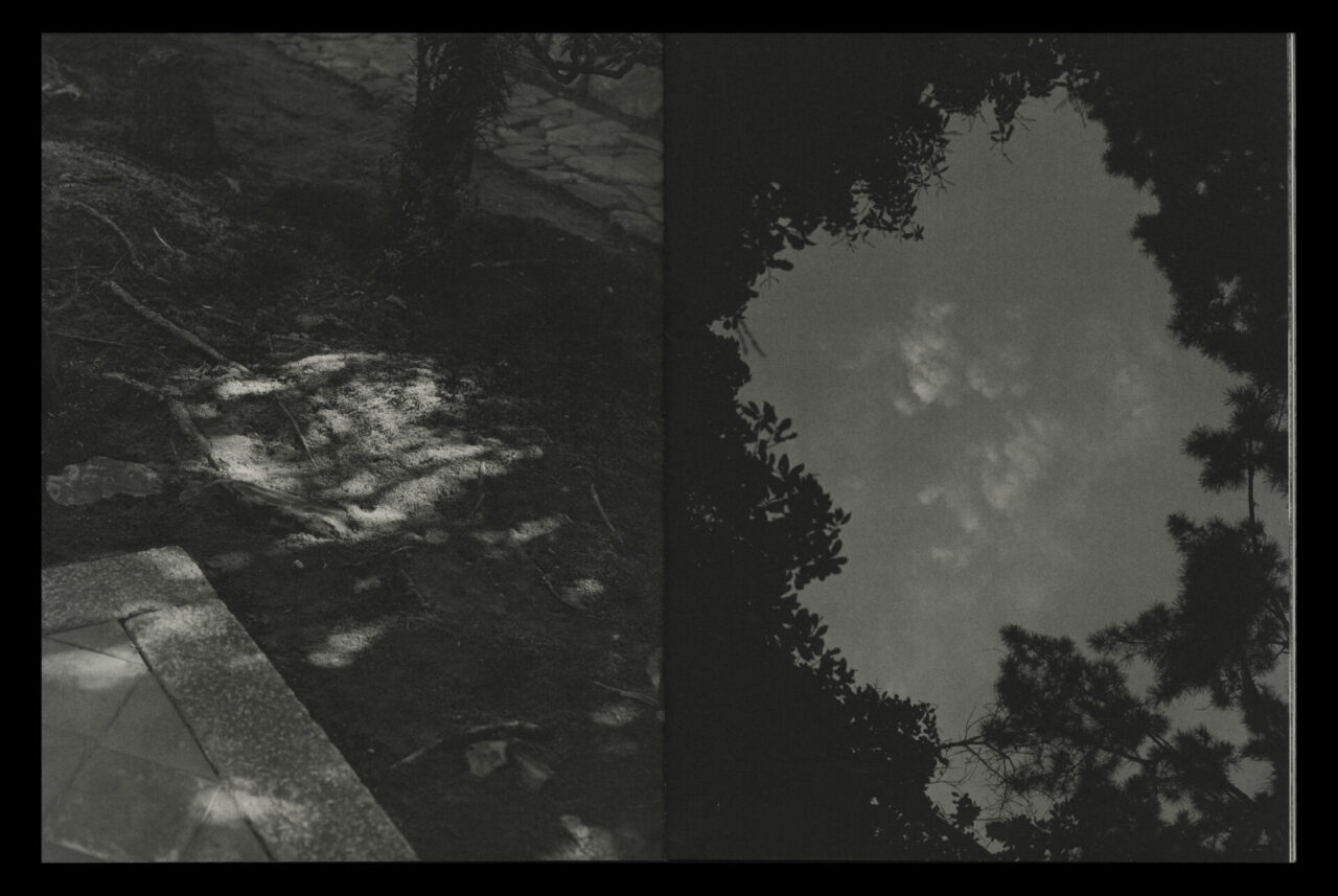 Taiga Takahashi, Campaign