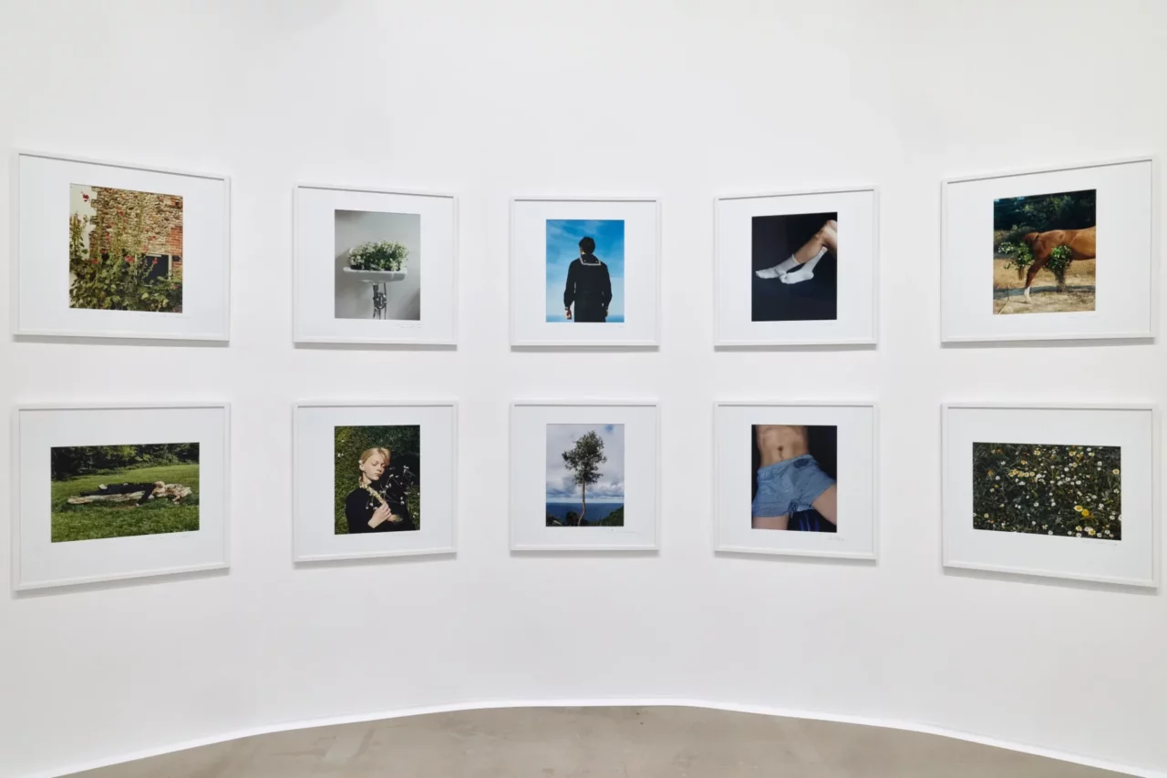 Coco Capit&aacute;n Debuts Immersive Exhibition at Taikoo Place Ahead of Art Basel Hong Kong | 3