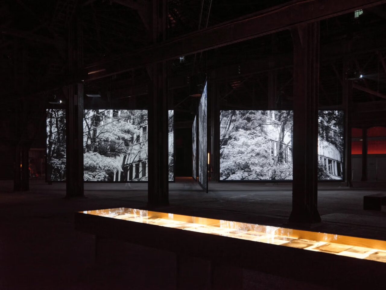 Patti Smith and Soundwalk Collective&rsquo;s sprawling Arles installation offers haunting world view | 3
