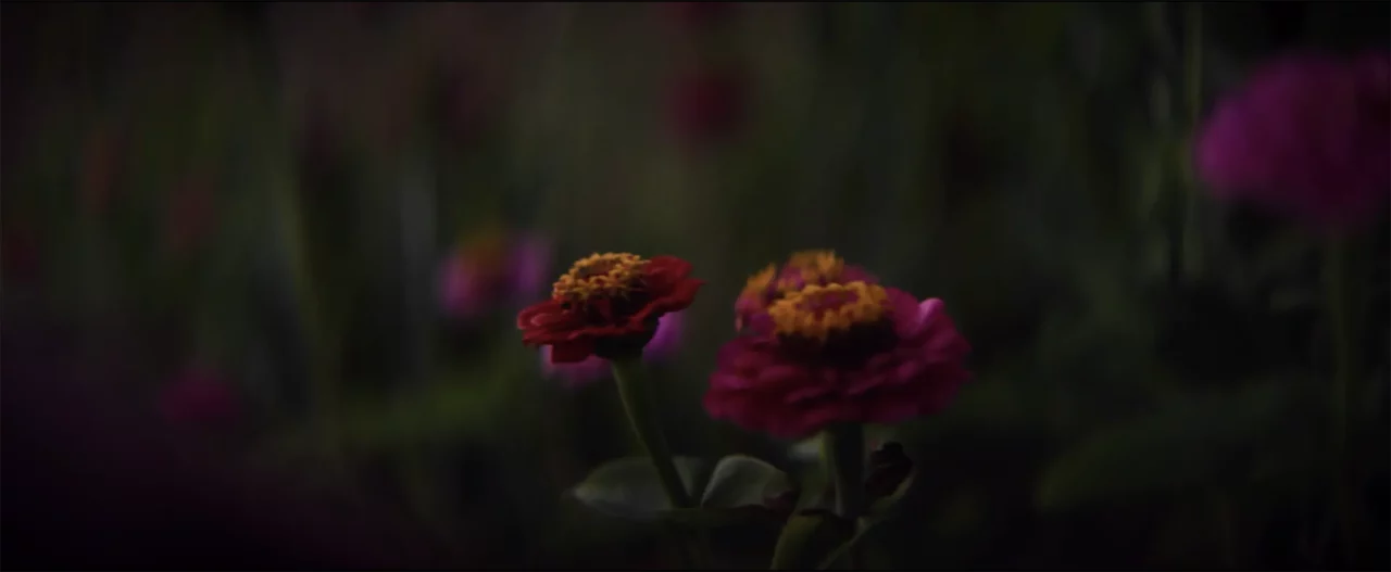 'Amoris Pomum' – NOWNESS