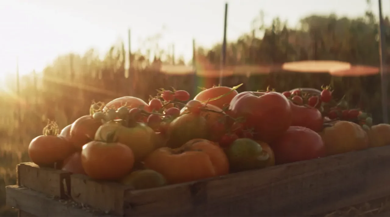 'Amoris Pomum' – NOWNESS
