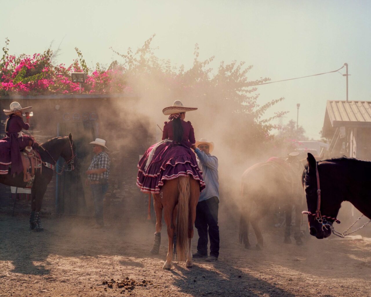 Tierra Del Sol