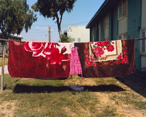South Central